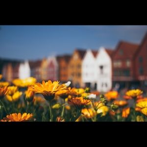 Meet your Posher, Fernanda